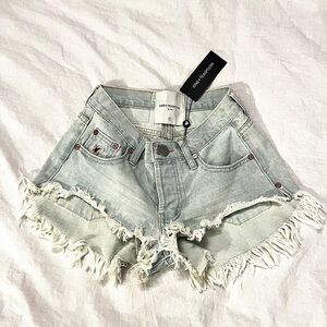 Brand new One Teaspoon Faded Blue Frayed Jean Shorts!